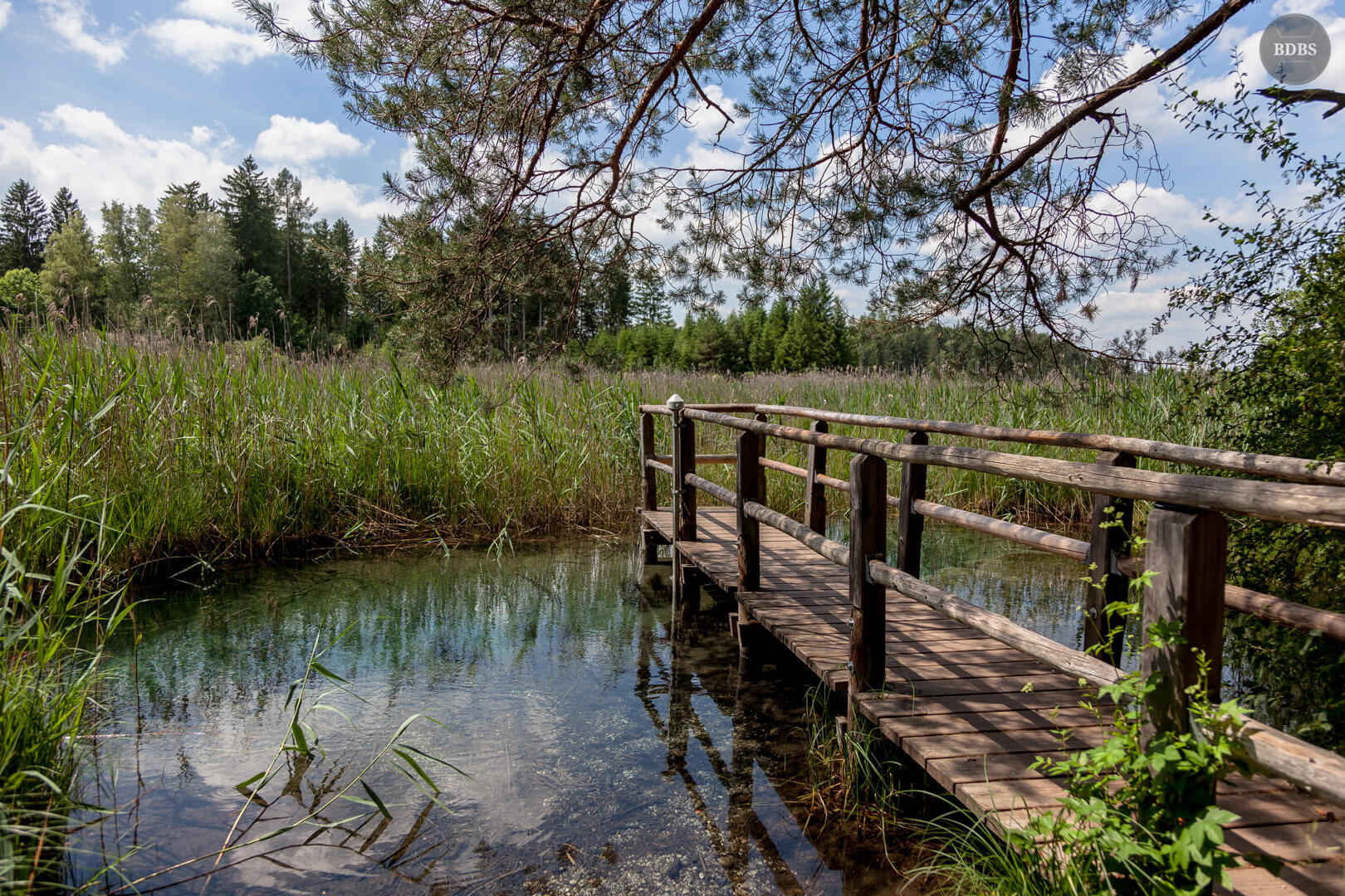 Der Fohnsee fotografieren im Herzen Bayerns | Blog der Blauen Stunde